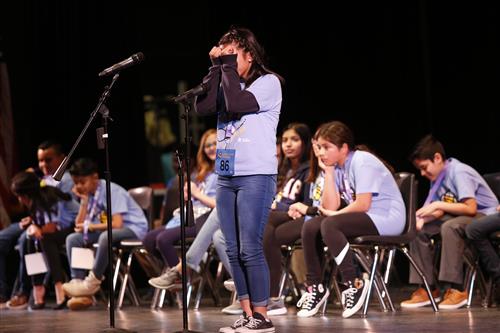 El Paso Spelling Bee 2020 
